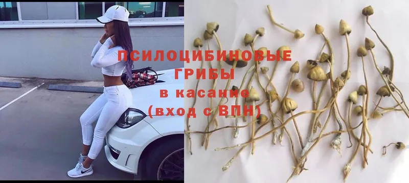 кракен ссылки  Бугуруслан  Псилоцибиновые грибы Psilocybine cubensis  хочу наркоту 